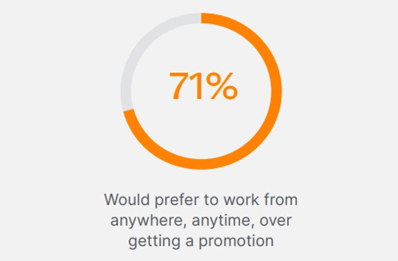 Pie chart showing percentage of employees that would prefer more job flexability than getting a promotion.